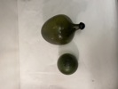 2167e_8dd36d7cb9a2438_sm.jpeg